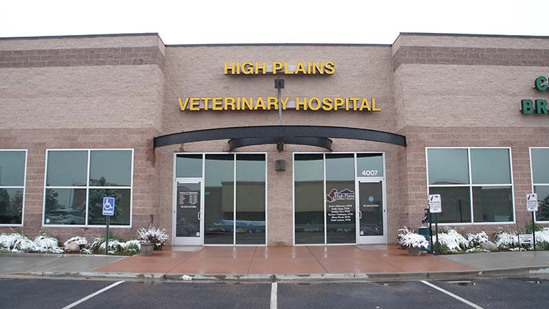 Plains emergency animal store hospital