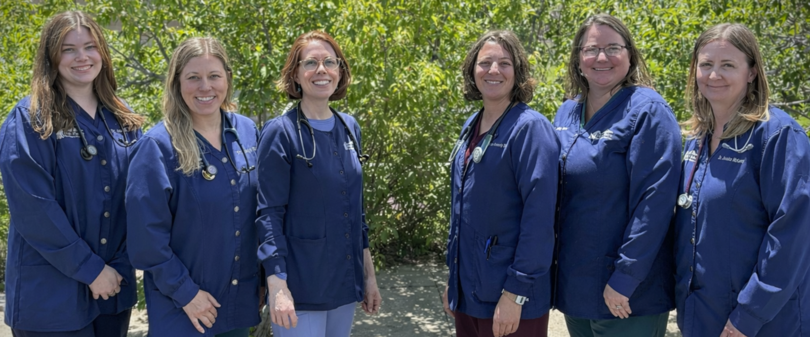 High Plains Veterinary Hospital